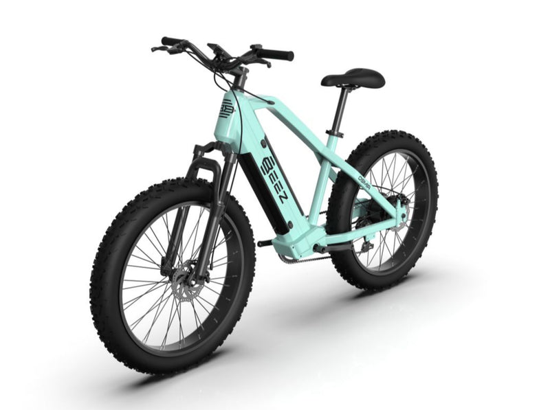 Osmia 26 Inch DUAL-BATTERY Fat Tire Electric Bike