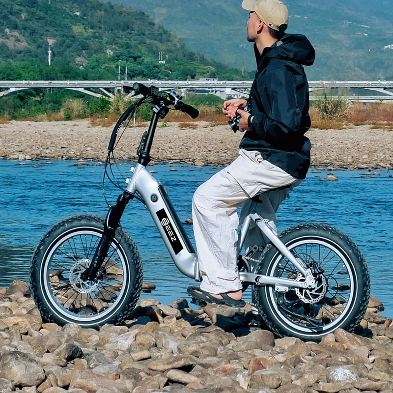 Apini Step-Thru Folding Electric Bike